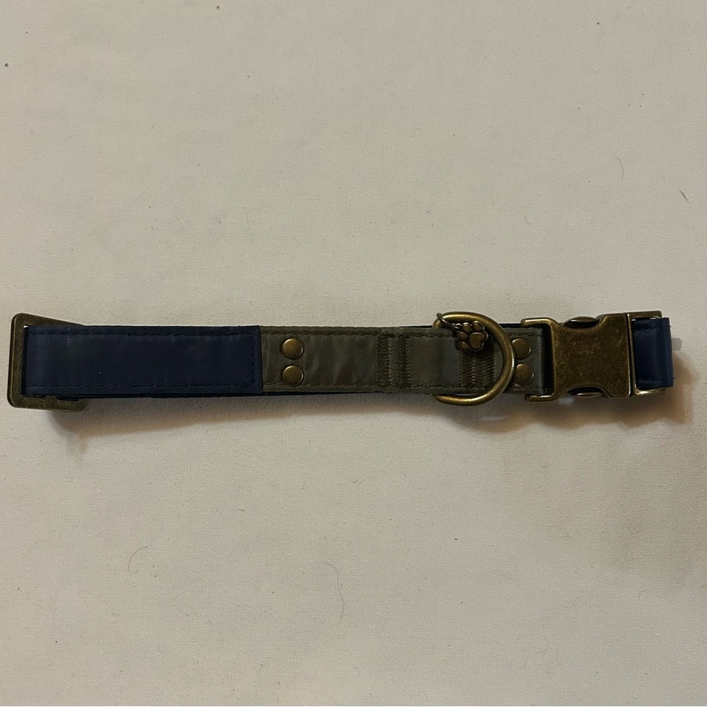 Large Green and Blue Dog Collar